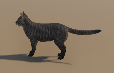 Kitty
